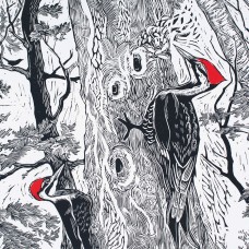 /userimg/L36vo/Pileated Woodpeckers.jpg